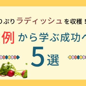 ラディッシュの育て方